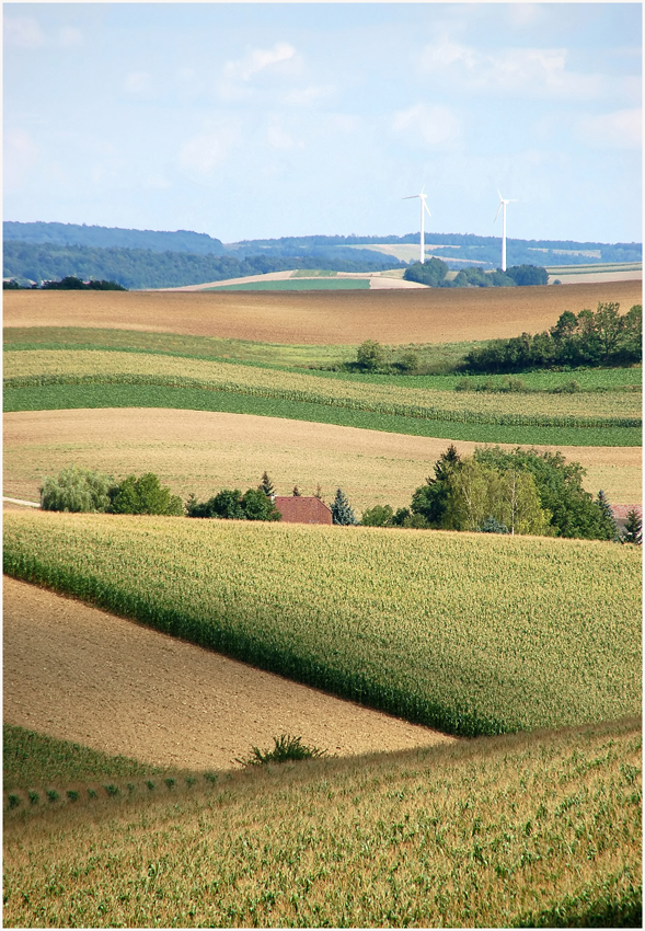 Weinviertler Sommerrückblick -7-