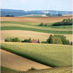 Weinviertler Sommerrückblick -7-