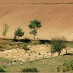 Weinviertler Sommerrückblick -9 -