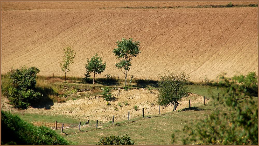 Weinviertler Sommerrückblick -9 -