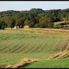 Weinviertler Spaziergang (3)...