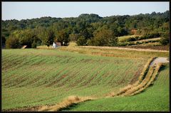 Weinviertler Spaziergang (3)...