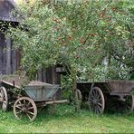 Weinviertler Stilleben