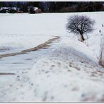 Weinviertler Winter...