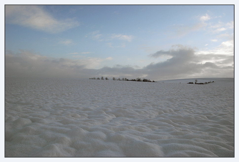 Weinviertler Winter