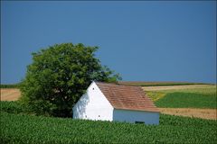 Weinvirtel - Impressionen