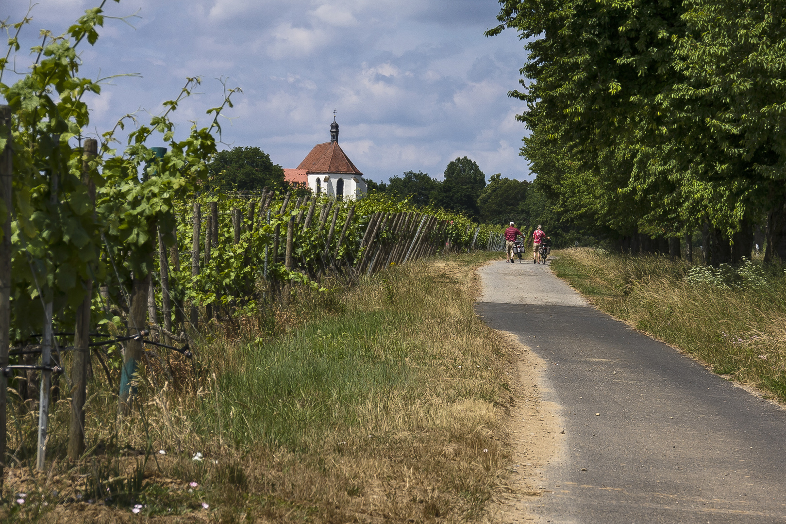 Weinwandern...