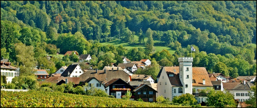 Weinwanderung im Heidiland 4