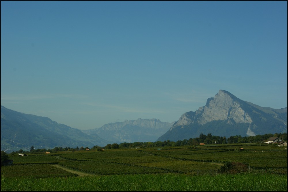 Weinwanderung im Heidiland 5