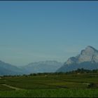 Weinwanderung im Heidiland 5