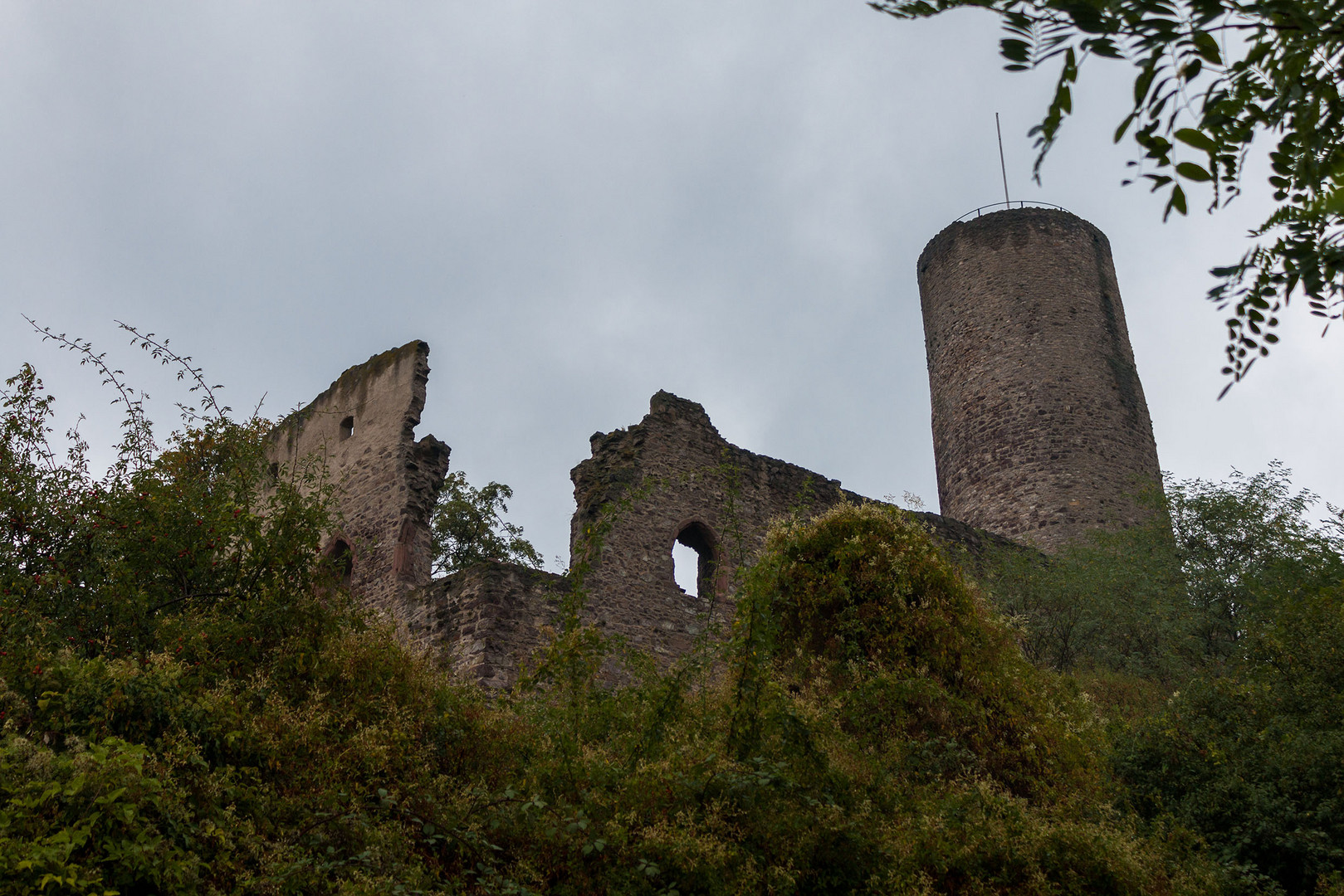 Weinwanderung Schriesheim