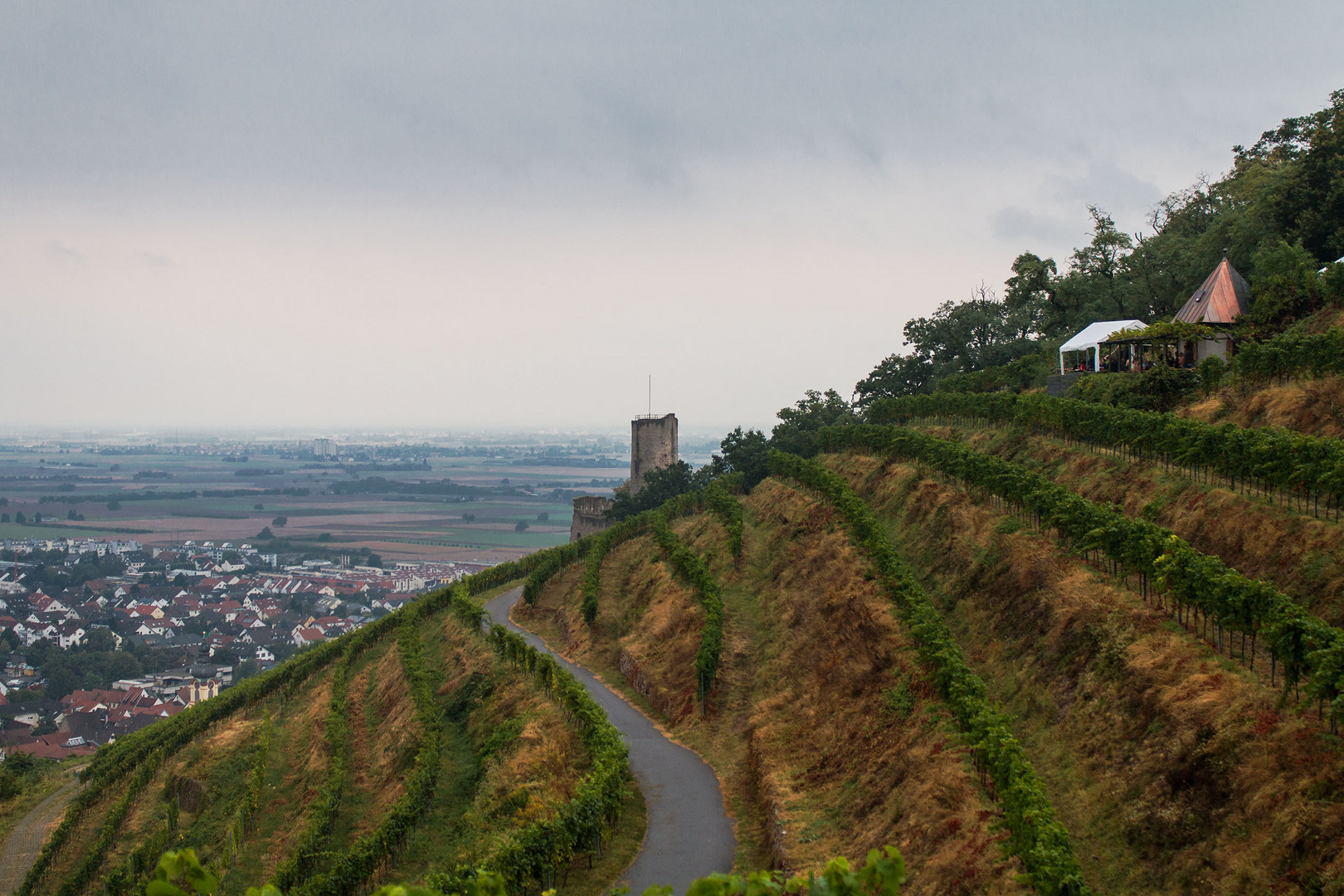 Weinwanderung Schriesheim