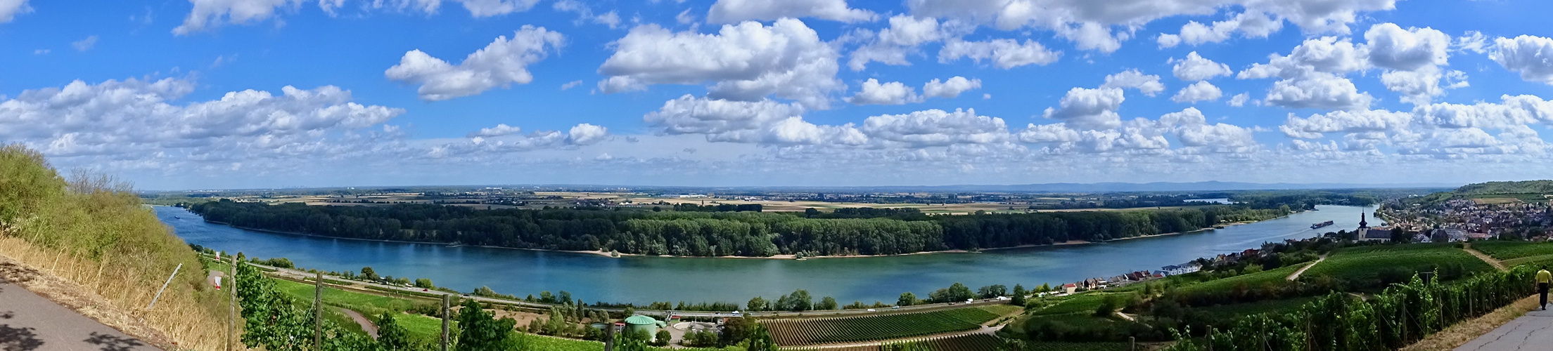 WeinWanderWeg