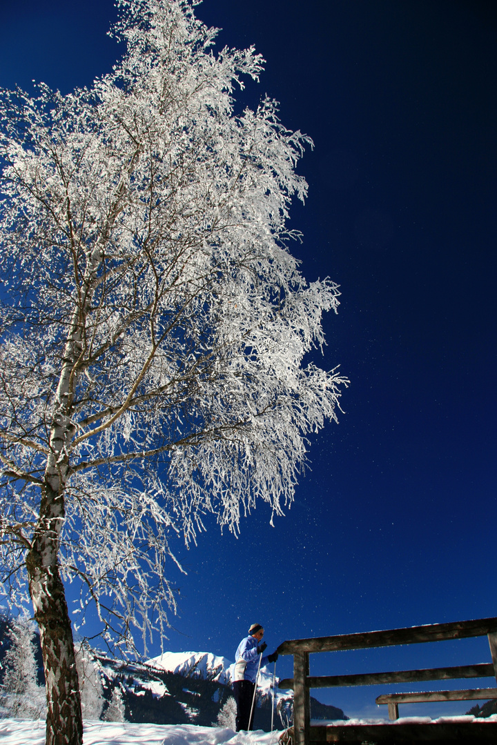 weis/blau