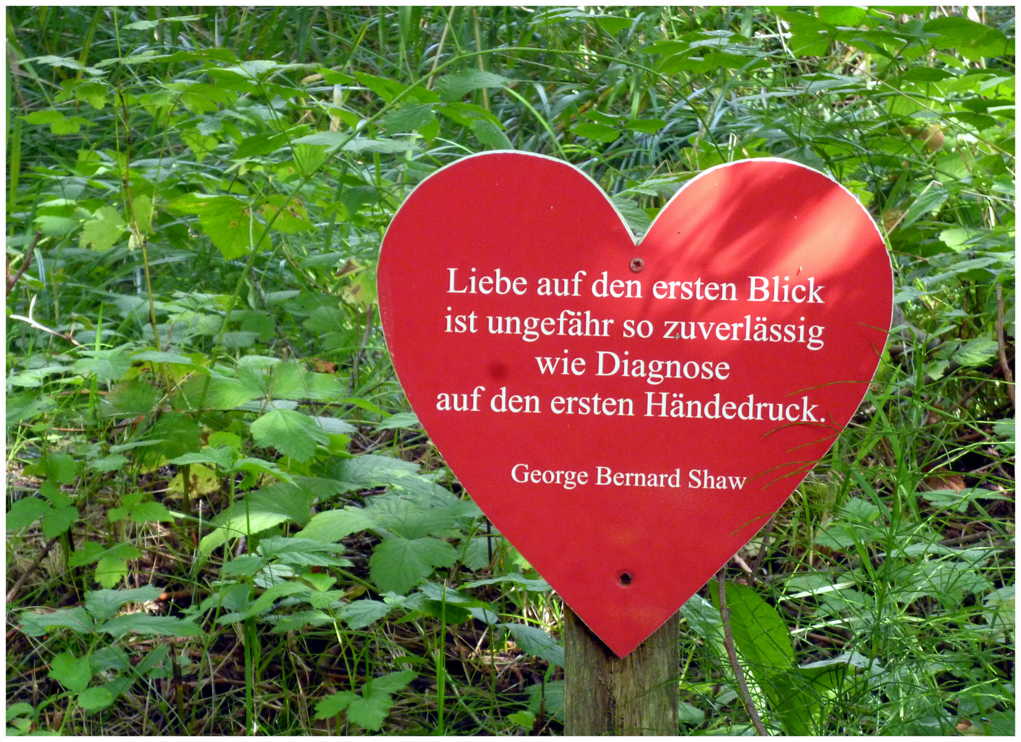 weise Worte