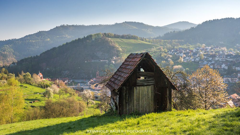 Weisenbacher Kontraste