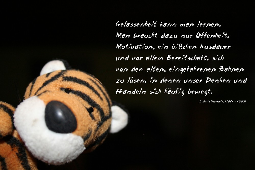 [ Weisheit des Tages ]