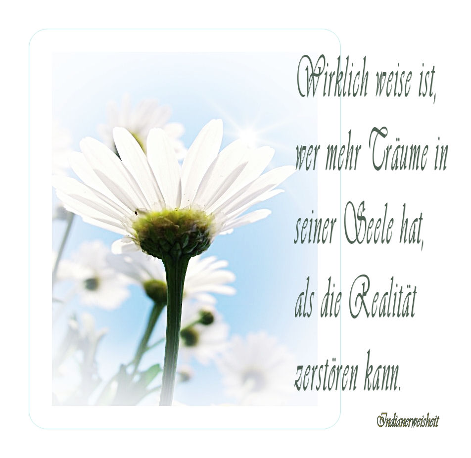 weisheiten Foto &amp; Bild karten und kalender, blumen, spezial Bilder auf