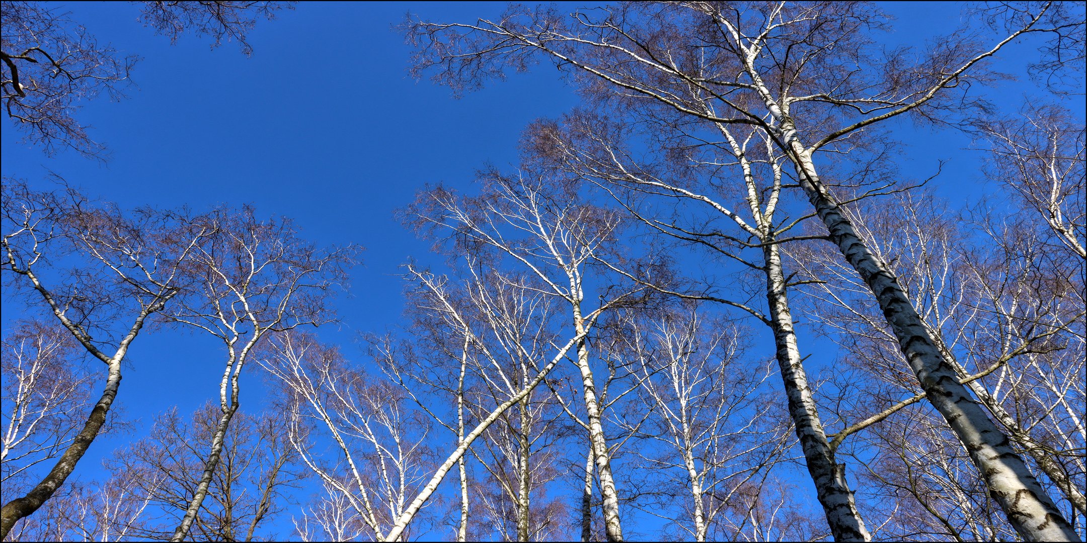 weiß auf blau