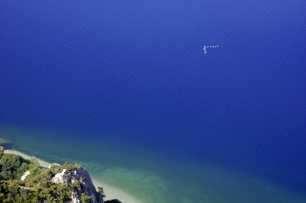 Weiß auf Blau