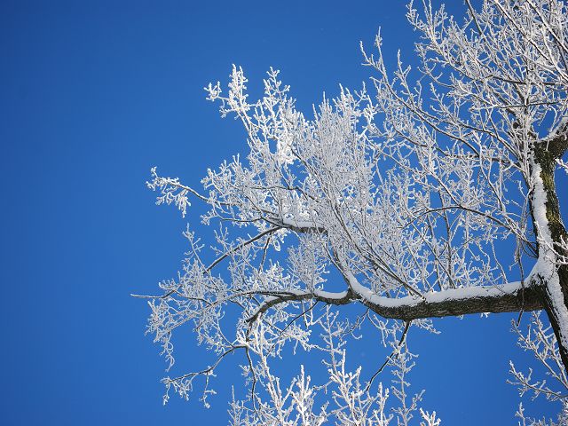 Weiß auf Blau