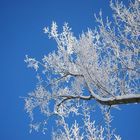 Weiß auf Blau