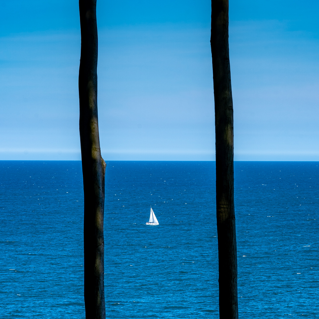 Weiß auf Blau zwischen Bäumen