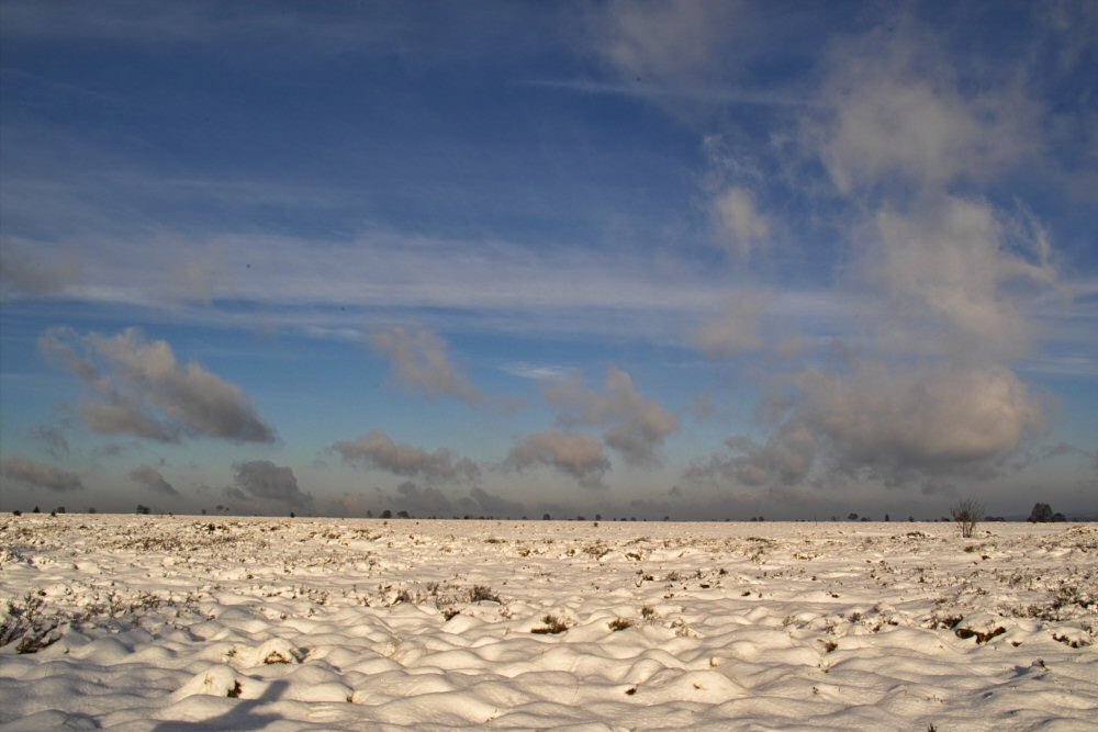 Weiss auf Natur