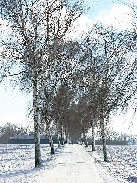 Weiss-Blau