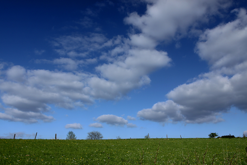 Weiss-Blau