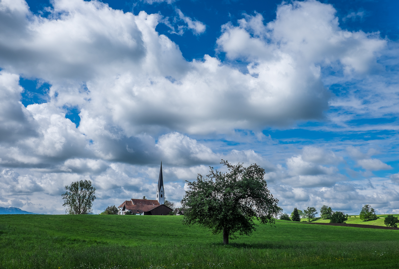 weiß-blau