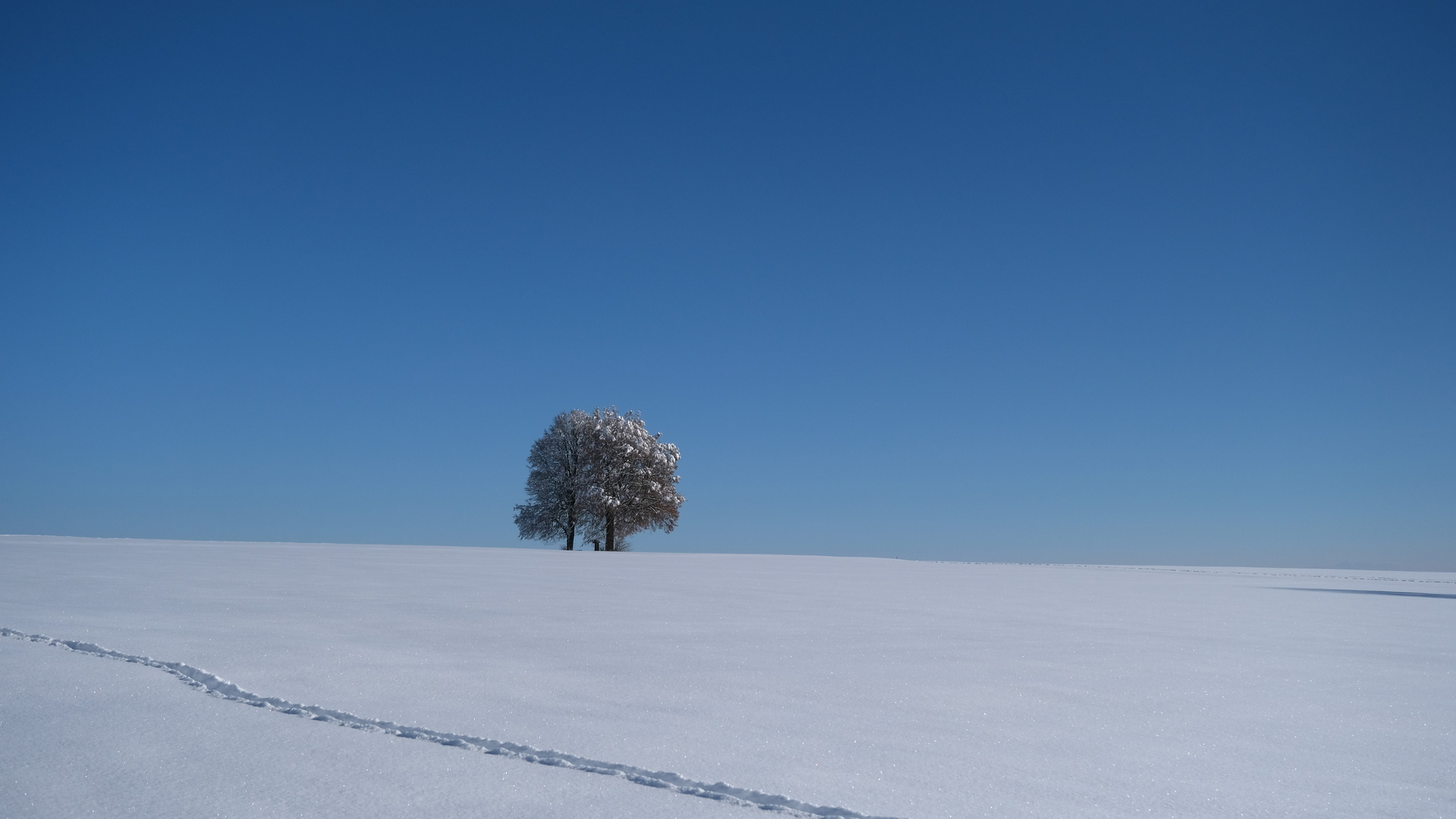 Weiss-Blau