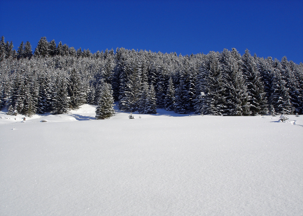 Weiß - Blau