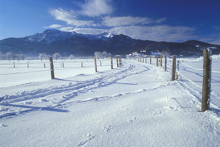 Weiß Blau - Bayern im Winter