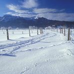 Weiß Blau - Bayern im Winter