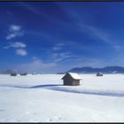 Weiß Blau - Bayern im Winter II