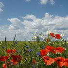 weiß blau - der Himmel in Bayern