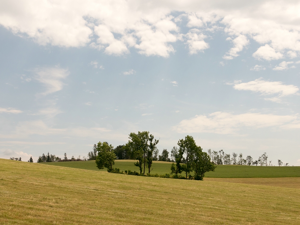 weiß blau grün