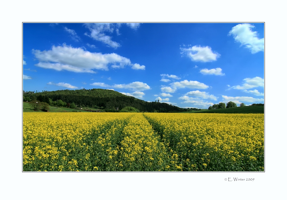 -WEISS-BLAU-GRÜN-GELB-