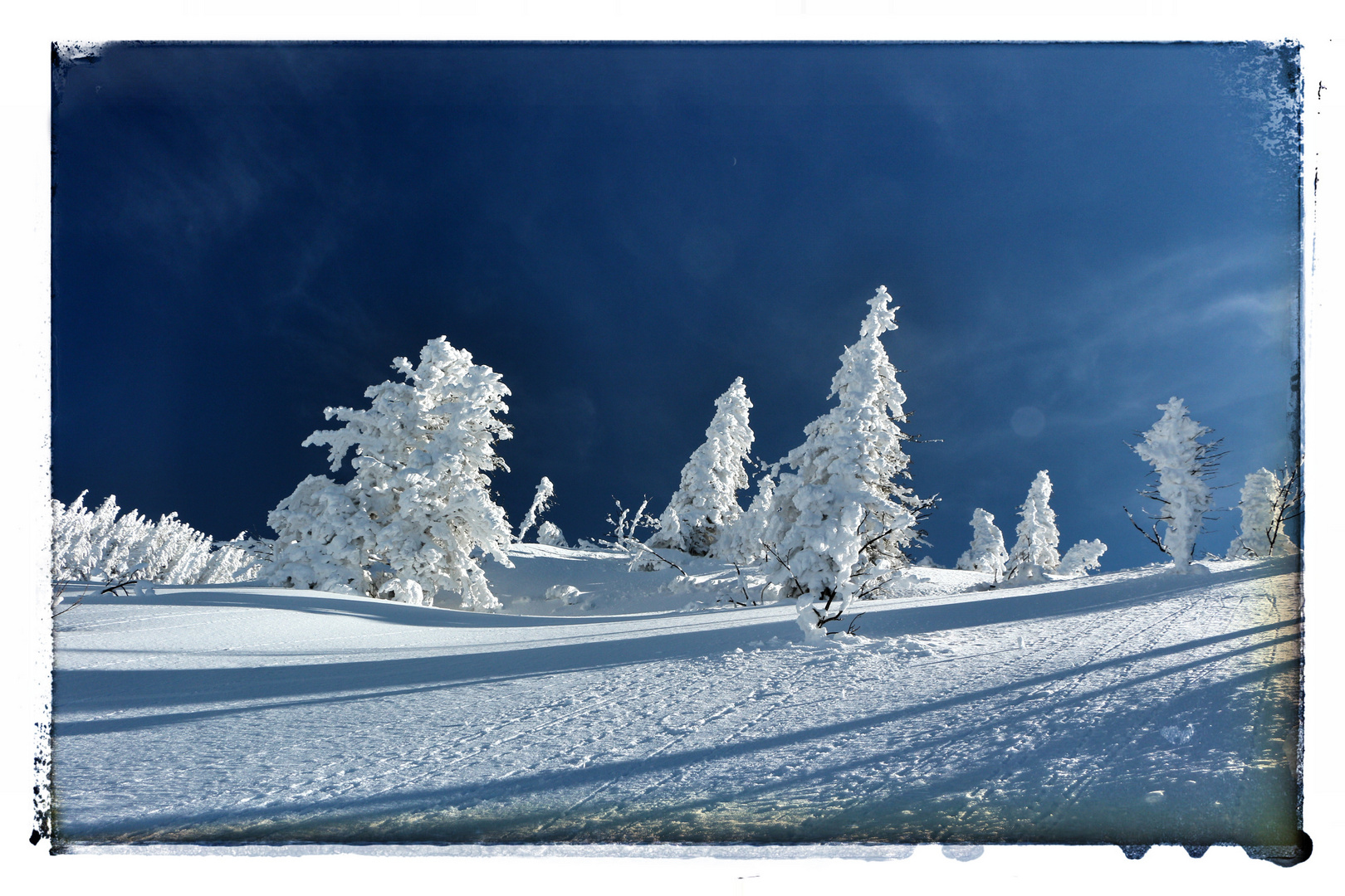 weiß-blau in Bayern