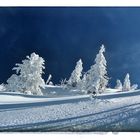 weiß-blau in Bayern