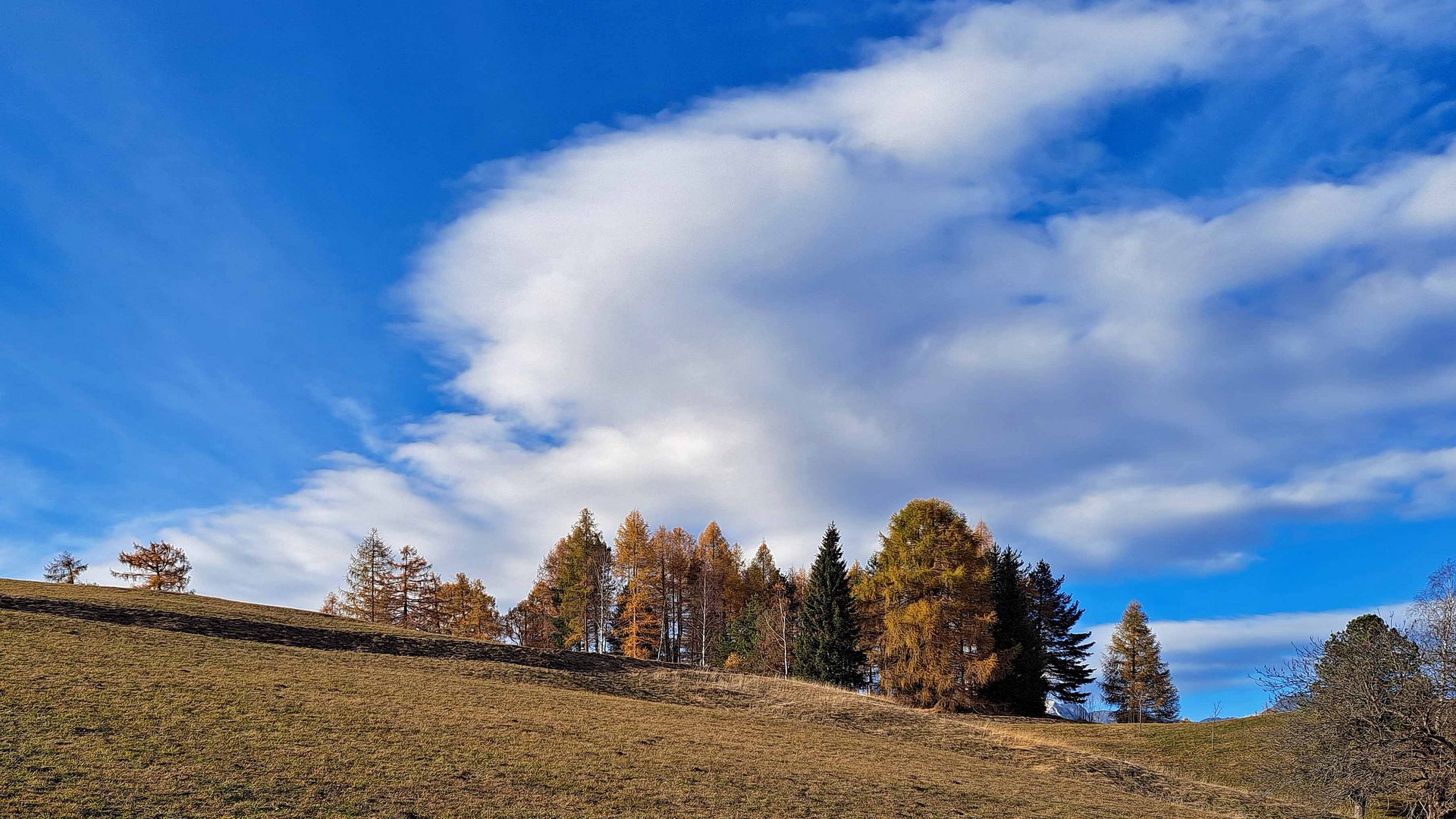 weiß-blau-orange auf der Anhöhe