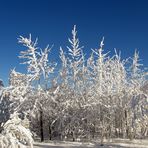 weiss-blaue  G'schichten....