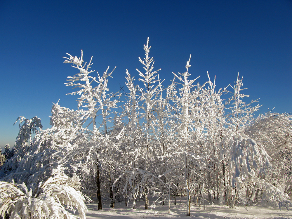 weiss-blaue  G'schichten....