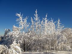 weiss-blaue  G'schichten....