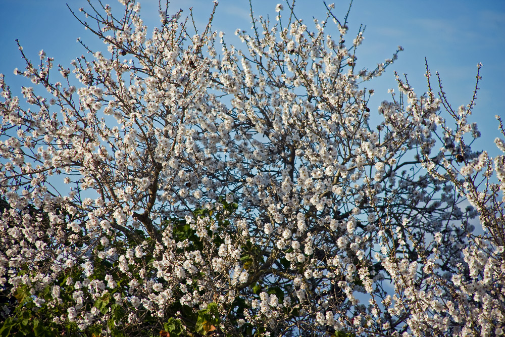 weiss-blaue G'schichten.....