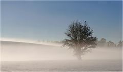 [ weiss-blaue Wintergeschichte ]