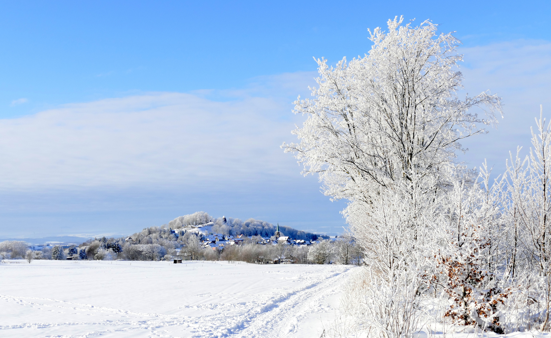 ...weiß-blaue Wintergeschichten... 