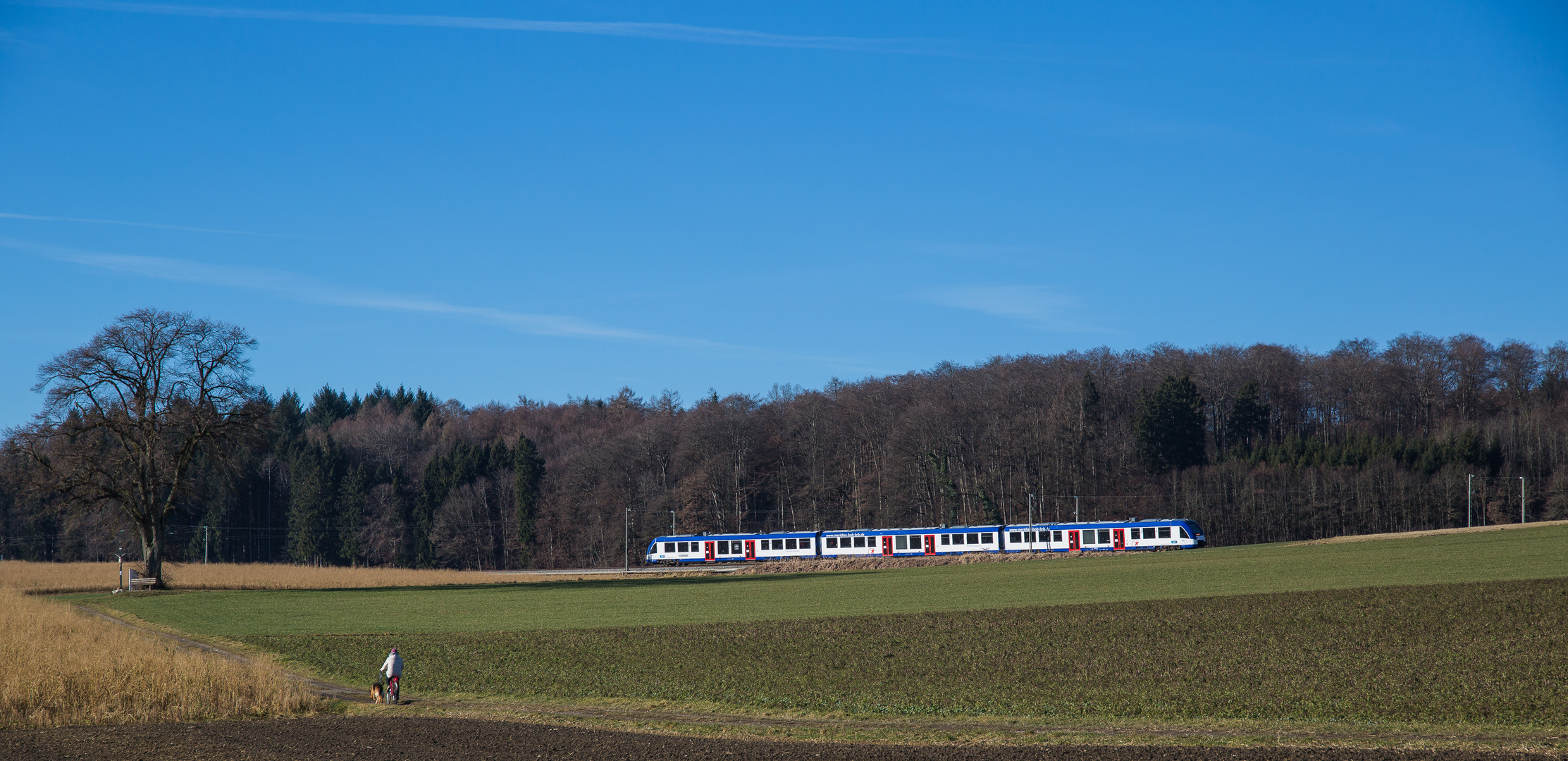 Weiß-blauer Farbtupfer