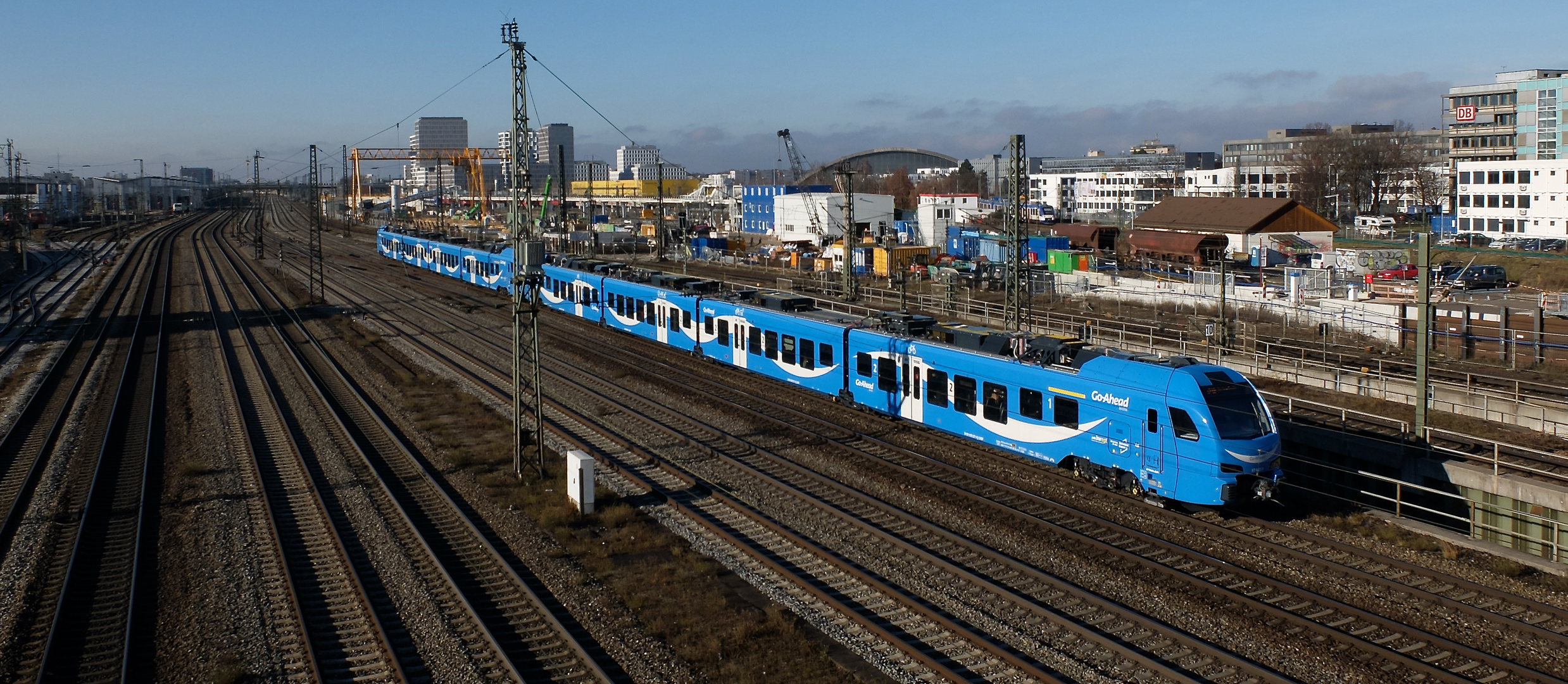 Weiß-blauer Flirt von "Gaby"